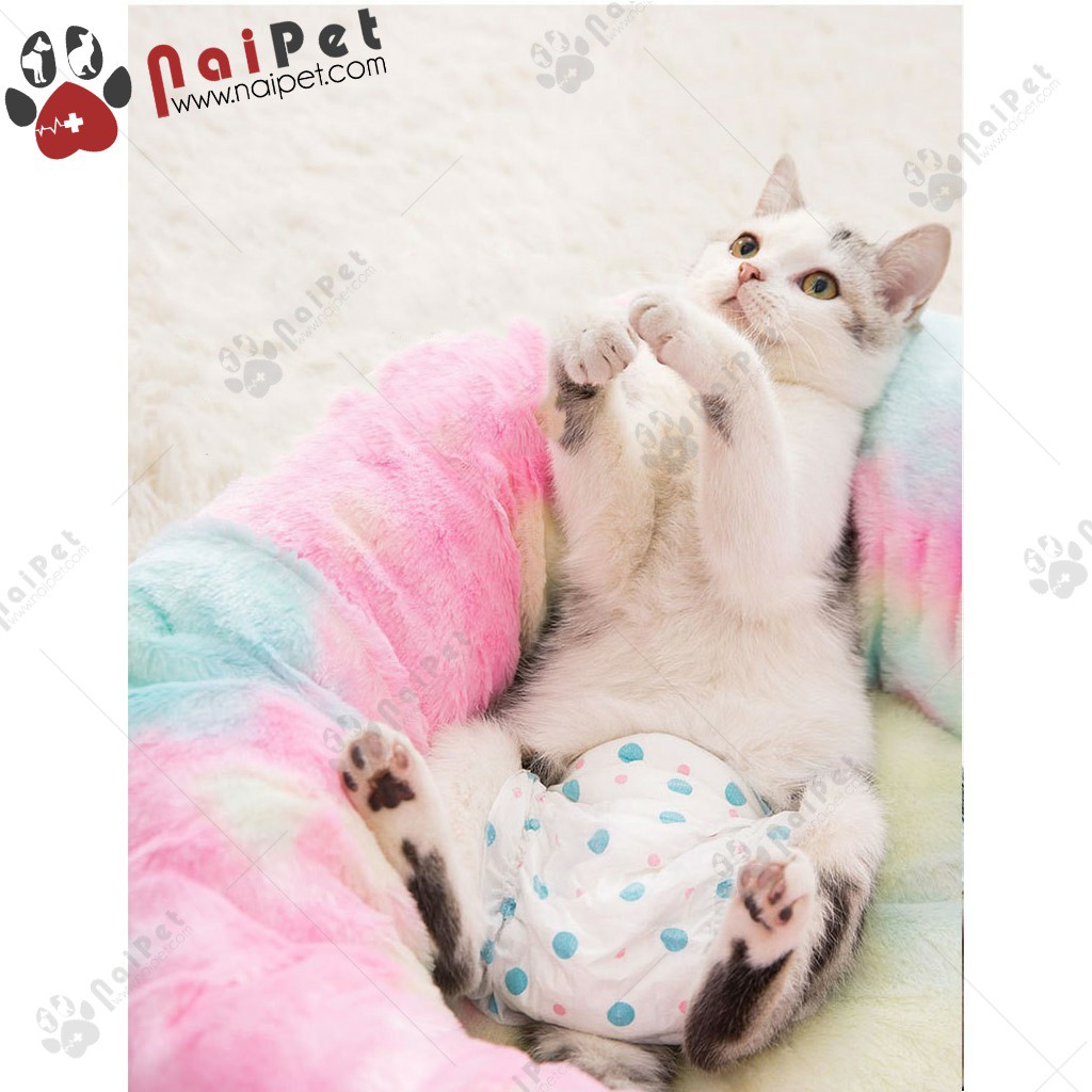 Tã Lót Bỉm Lót Cho Chó Mèo Hipidog