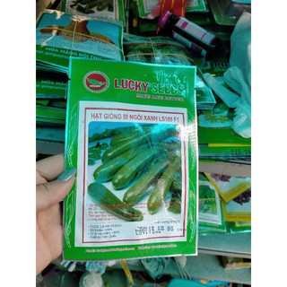 hạt giống bí ngòi xanh