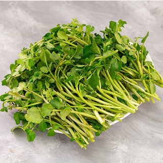 [ Deal 3K ] - 100 hạt giống Cải Xoong ( Hạt giống Thanh Tâm )