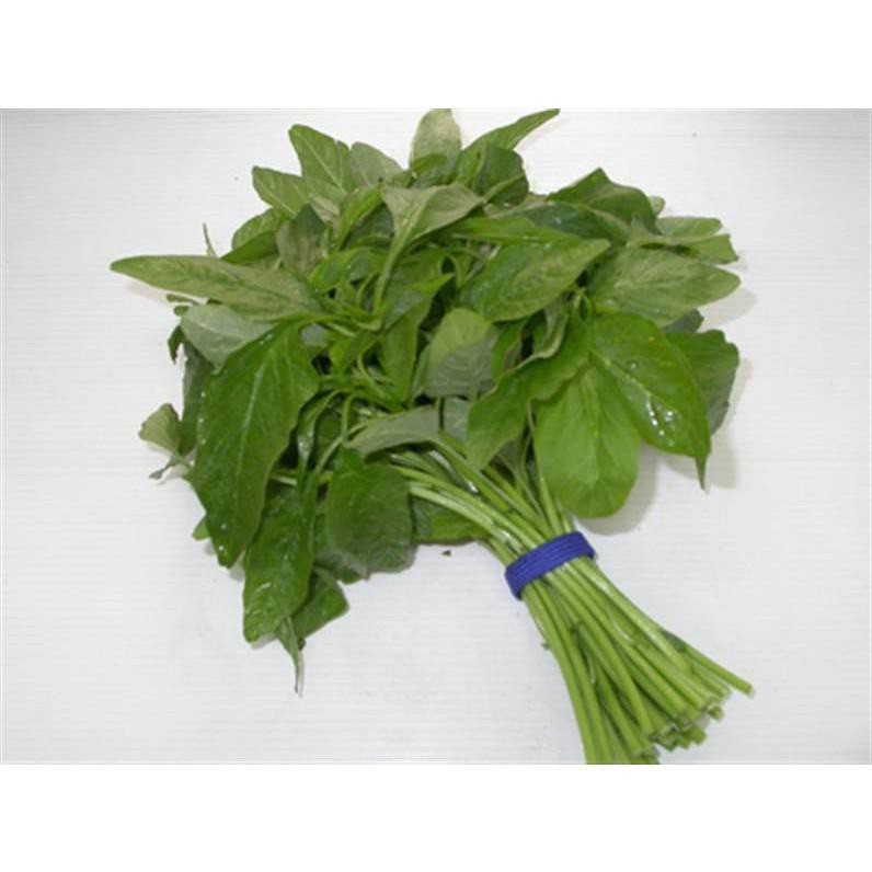 HẠT GIỐNG DỀN XANH CAO SẢN (NN.71) 20G