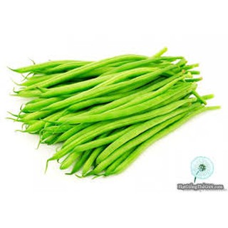 Hạt giống Đậu ve Leo