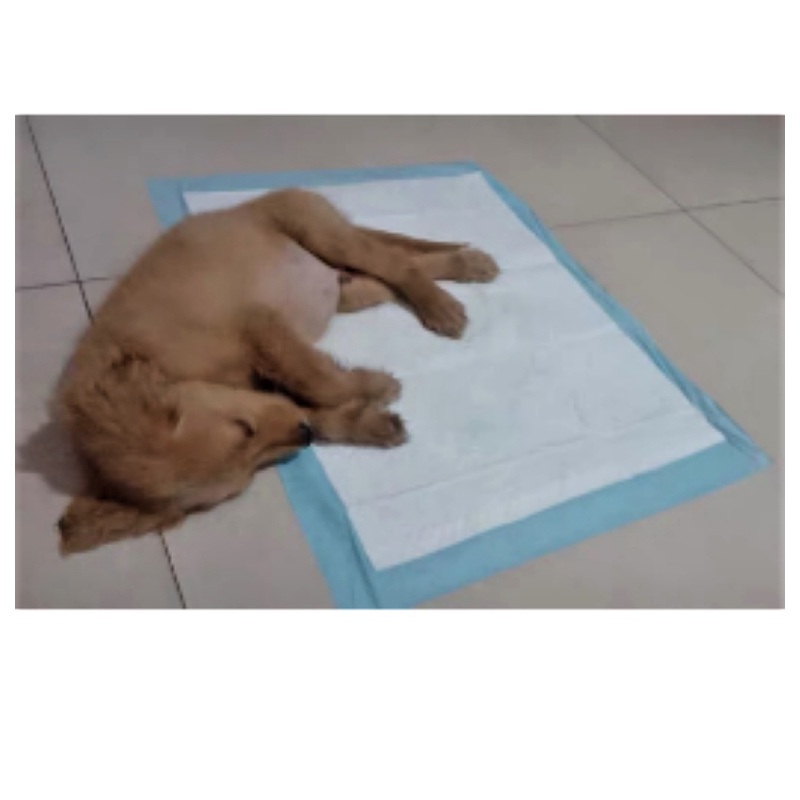 TÃ LÓT CHUỒNG, TẤM LÓT CHUỒNG CHÓ MÈO NHIỀU SIZE -  LOVE PETS SHOP
