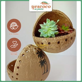 Chậu Ếch treo gáo dừa trồng sen đá| YESCOCO XƯỞNG SX