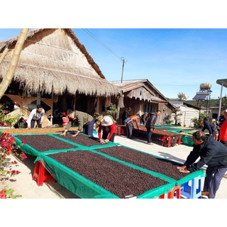 Coffee BLEND 500gram