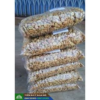 HẠT GIỐNG CÀ PHÊ DÂY THUẬN AN