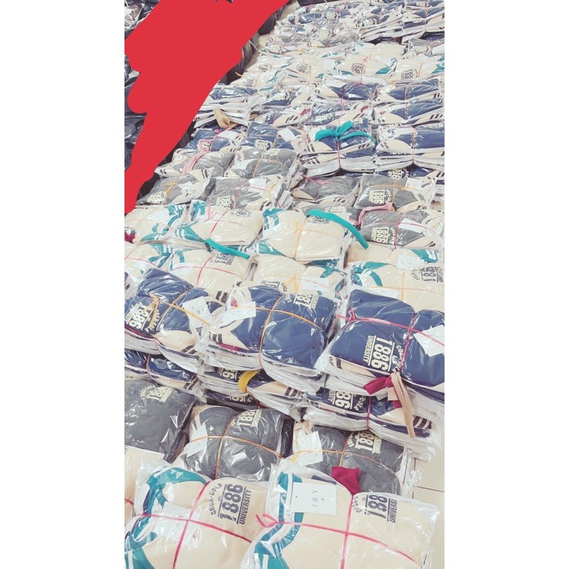 Áo nỉ 3 màu dành cho nữ | BigBuy360 - bigbuy360.vn