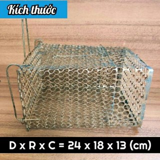 LỒNG BẪY CHUỘT