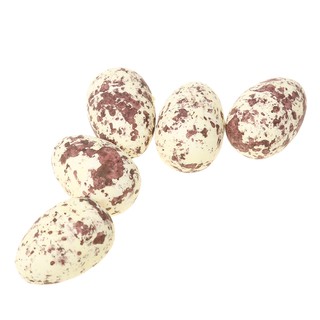 PLASTIC VINE BIRD BREEDING NESTING NEST Artificial Birds 5pcs White Eggs Set