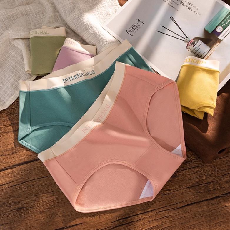 Quần Lót Nữ Cotton Cạp Su Chữ Kháng Khuẩn Cao Cấp 8858