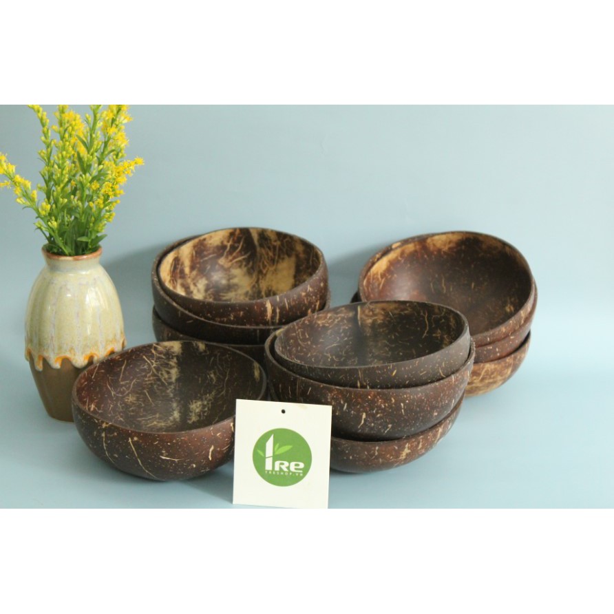 Bát gáo dừa bến tre loại đẹp đa dụng