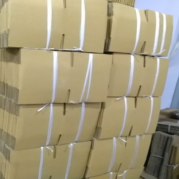 COMBO 50 Hộp carton 20x15x10cm