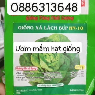 Rau xà lách mỡ hn