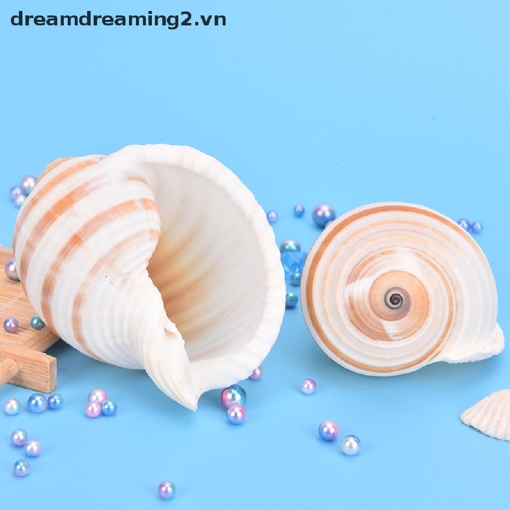 1 Vỏ Vít Phong Cảnh Đẹp