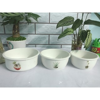 Bộ 3 chậu sứ trồng cây