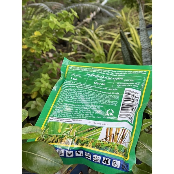 Giải pháp quản lý đạo ôn giai đoạn lúa nhỏ - Giúp lúa xanh bóng và sạch đẹp