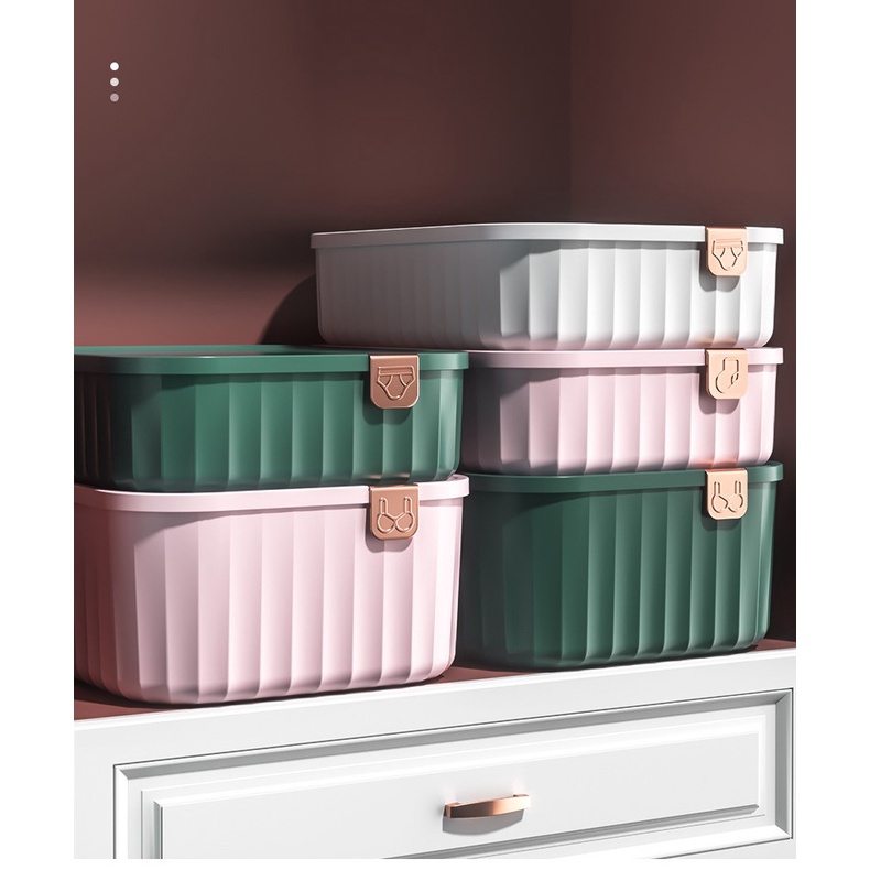 Hộp đựng vớ/ mỹ phẩm/ dụng cụ văn phòng, có vách ngắn tiện lợi mẫu mã đẹp lịch sự | Hàng có sẵn giao ngay | HCM