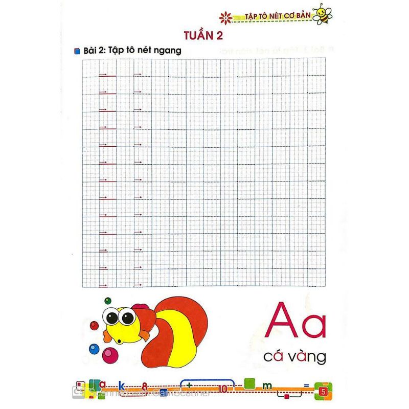 Sách - Tập Tô Nét Cơ Bản