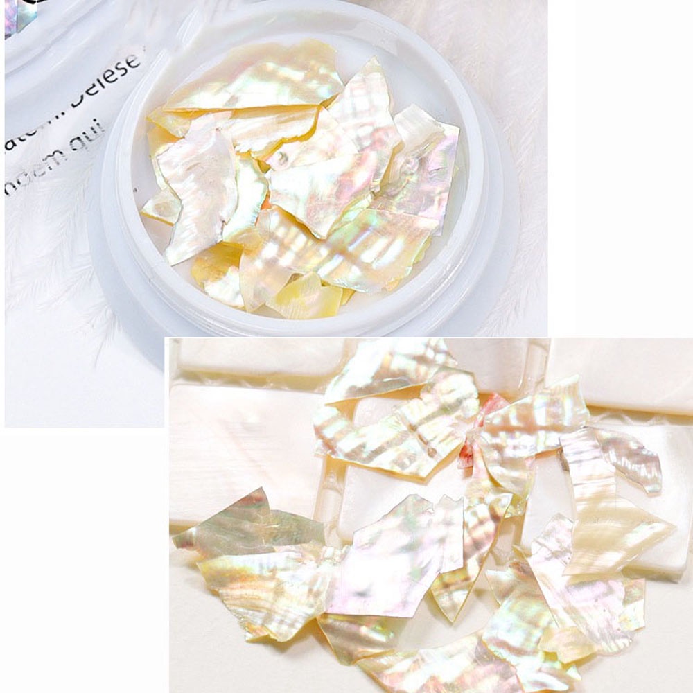 Hộp phụ kiện vỏ trang trí móng 3D hình vỏ sò tự nhiên không đồng đều nhiều màu sắc hiệu ứng ngọc trai