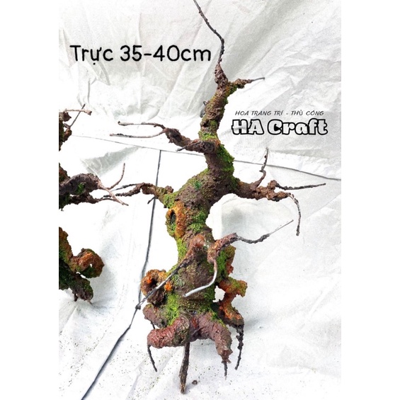 Gốc bonsai,thân cây bonsai thế Trực 40-45cm làm hoa mai,đào Handmade