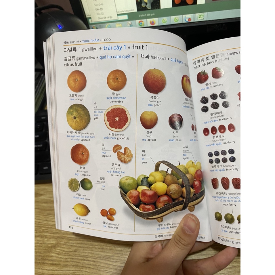 Sách  - Visual Korean Vietnamese English Trilingual Dictionary ( Từ Điển Hình Hàn - Việt - Anh )