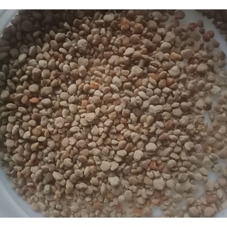 Phấn hoa cà phê daklak phơi tự nhiên 500gr