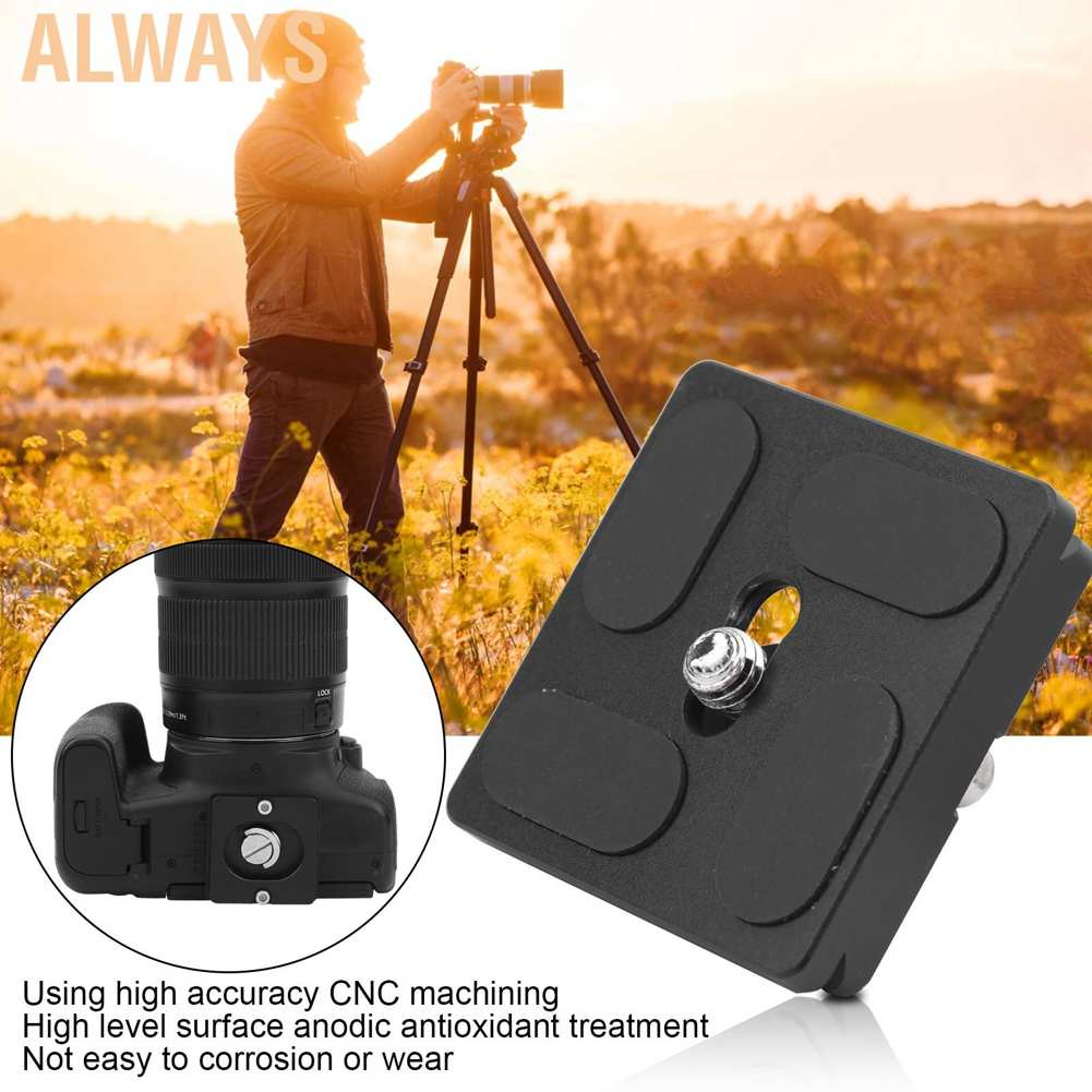 Tấm giá đỡ bằng hợp kim nhôm gắn máy ảnh DSLR tiện dụng | BigBuy360 - bigbuy360.vn
