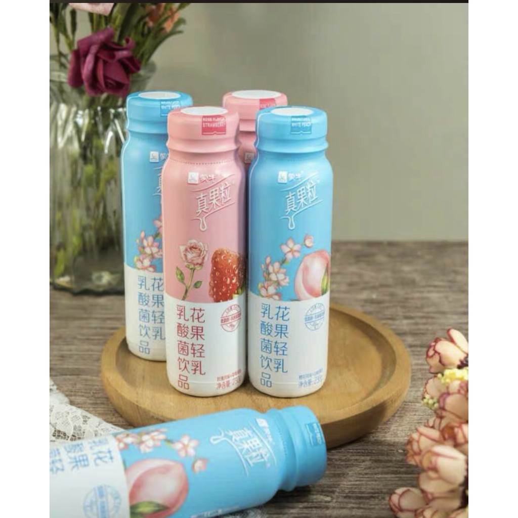 Sữa chua uống Chân Quả Lạp Tiêu Chiến đại ngôn - 5 vị hoa quả | BigBuy360 - bigbuy360.vn