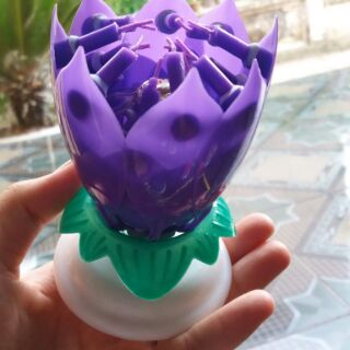 Combo 20 nến sinh nhật xòe hoa phát nhạc