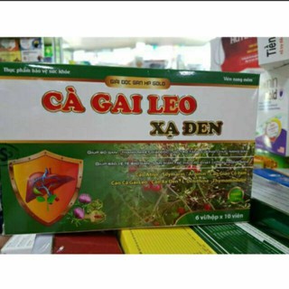 Cà gai leo xạ đen - Hỗ trợ điều trị các bệnh về gan