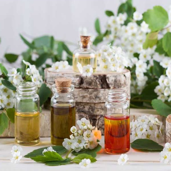 Tinh Dầu Trà Trắng Thiên Nhiên - White Tea oil