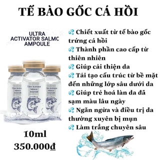 Tế bào gốc cá hồi