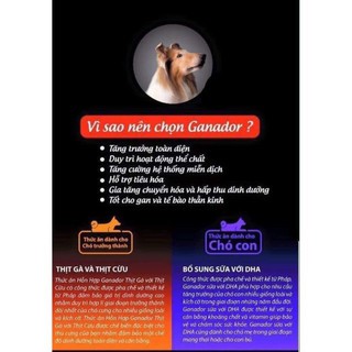 [PP chính hãng] Thức ăn cho chó, thức ăn hạt Smart Heart