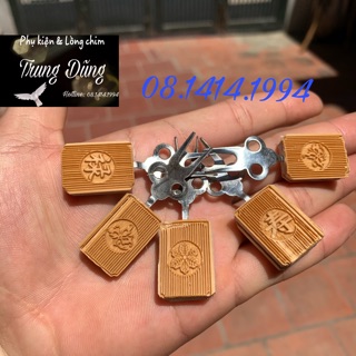 Xiên hoa quả “ Tai Triện” cho chim