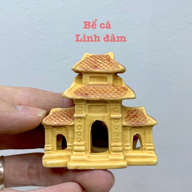 Tiểu cảnh trang trí bể cá, hòn non bộ, sân vườn, bàn làm việc