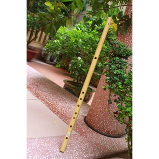 Sáo trúc Mão Mèo HD5