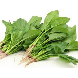 Hạt giống cải bó xôi 1kg - Rau củ quả trồng tại vườn, sân thượng, nông trang, ban công