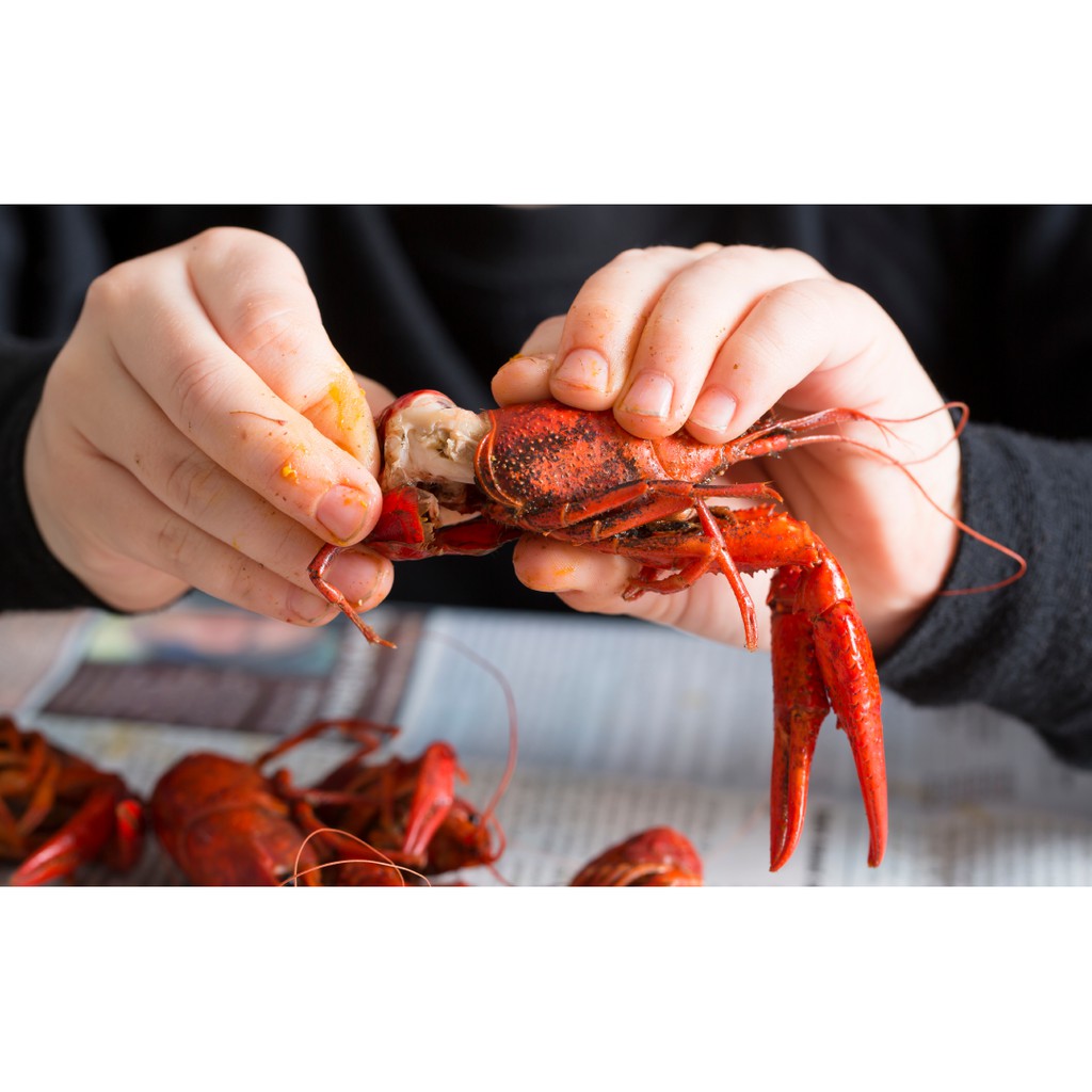 DẦU ỚT GIA VỊ LUỘC - HẤP - SỐT - CHIÊN HẢI SẢN Louisiana Fish Fry, Shrimp &amp; Crab Boil 474ml (16oz)