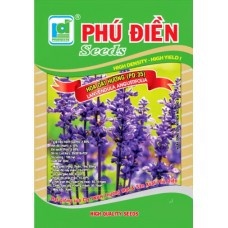 hạt giống Oải Hương