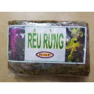 Rêu rừng trồng lan