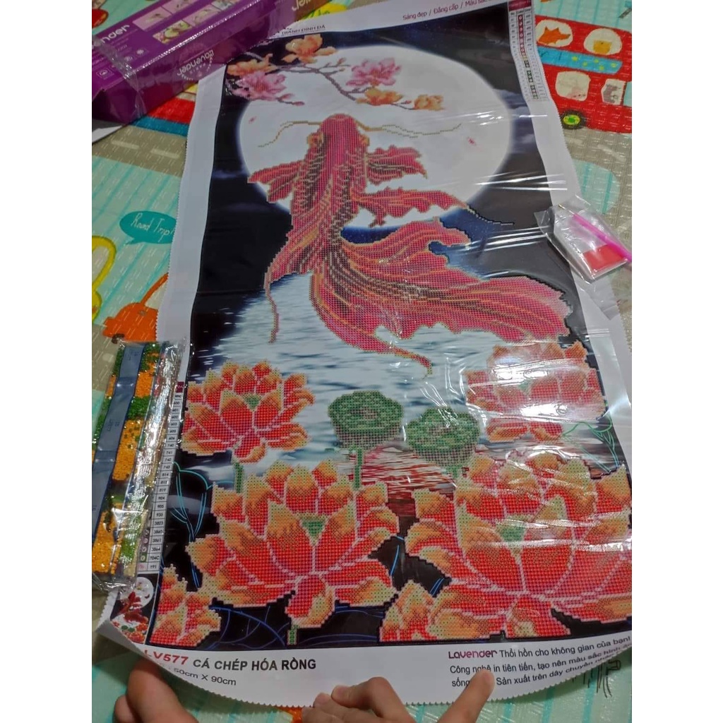 Tranh gắn đá cá cửu nguyệt,tranh đính đá chưa đính.