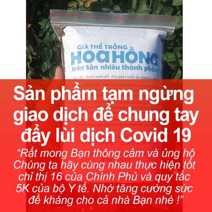 [Có video quay thật] Giá thể Cao cấp Siêu nhẹ, chuyên trồng hoa hồng, trộn sẵn nhiều thành phần, tơi xốp, bao 1gallon