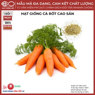 Hạt Giống Cà Rốt Cao Sản (5gr) - Kháng bệnh tốt, năng suất và độ đồng đều củ cao, không rỗng ruột, chậm trổ bông
