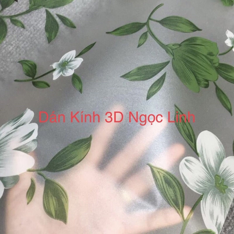 Giấy Dán Kính 3D, Decal dán kính mờ keo sẵn bóc ra dán