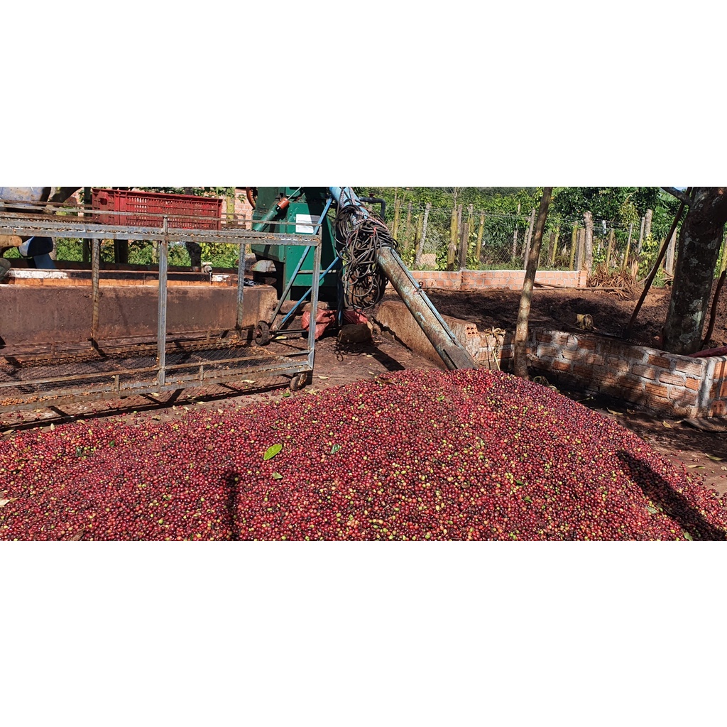 Cà Phê Núi Lu x1 (500gr) | BigBuy360 - bigbuy360.vn