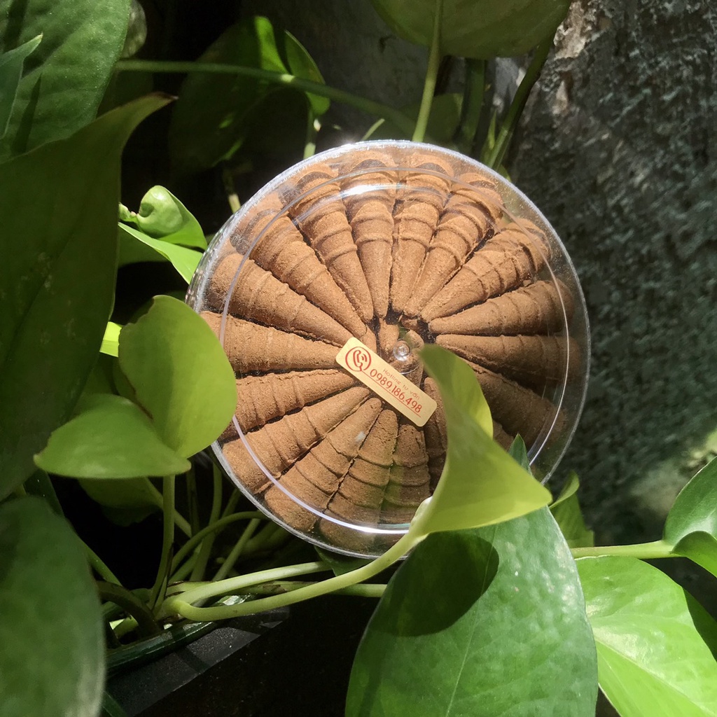 NỤ BỒ KẾT MARIN 45 NỤ - TÂY UẾ- XÔNG NHÀ - ĐUỔI MUỖI - TĂNG DƯƠNG KHÍ - FRUCTUS GLEDISCHIAE INCENSE