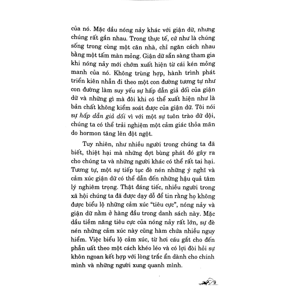 Sách - Nhẫn - Nghệ Thuật Sống Yên Bình (Allan Lokos- Văn Lang)