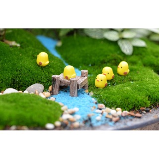 Combo 04 gà con trang trí tiểu cảnh - phụ kiện terrarium - phụ kiện trang trí tiểu cảnh