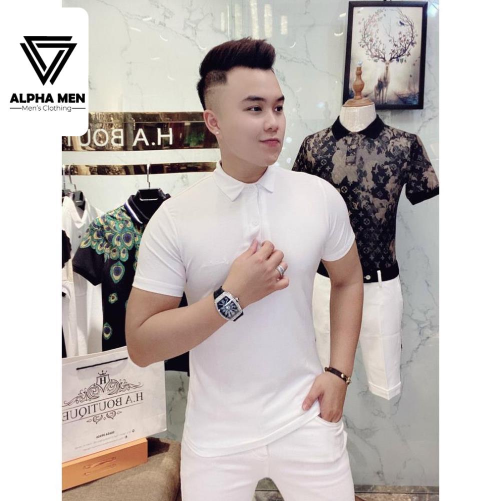 ⭐️SIÊU PHẨM⭐️Áo POLO Nam Cổ Bẻ Vải Thun Mịn Mát Lạnh - Áo Thun Nam Cao Cấp chất mát mùa hè  M6099 | BigBuy360 - bigbuy360.vn