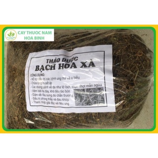 1kg Bạch hoa xà thiệt thảo -dltd