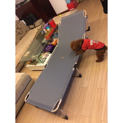 Giường xếp văn phòng - Có sẵn nệm chiếu T135 - Chính hãng NIKITA | BigBuy360 - bigbuy360.vn